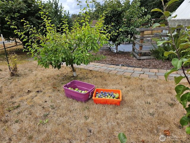 12606 Silver Drive, Anderson Island, WA 98303