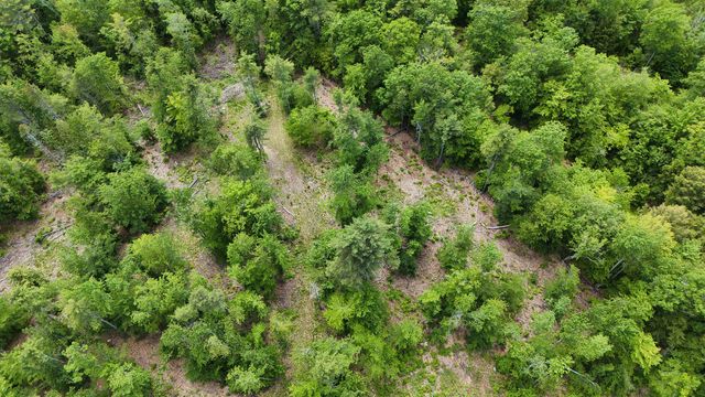 160 Browns Ridge Road, Ossipee, NH 03864