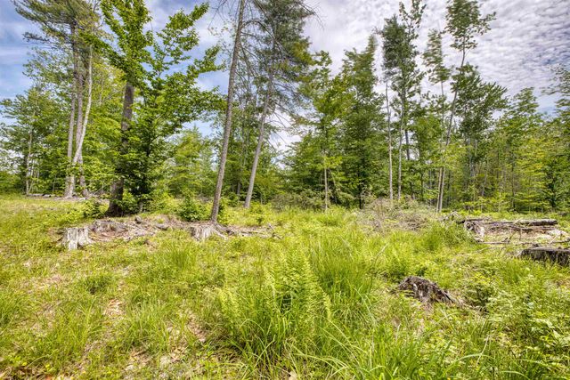 160 Browns Ridge Road, Ossipee, NH 03864