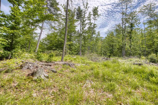 160 Browns Ridge Road, Ossipee, NH 03864
