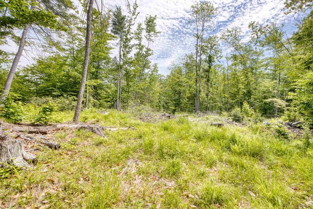 160 Browns Ridge Road, Ossipee, NH 03864