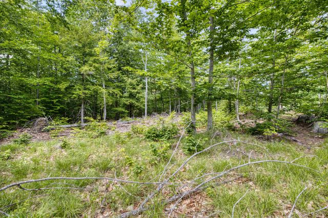 160 Browns Ridge Road, Ossipee, NH 03864