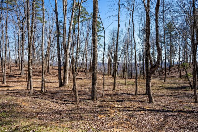 3271 River Gorge Drive 963, Chattanooga, TN 37419