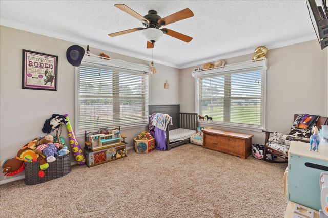 529 An County Road 2304, Tennessee Colony, TX 75861
