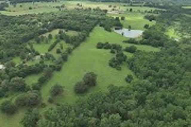 529 An County Road 2304, Tennessee Colony, TX 75861