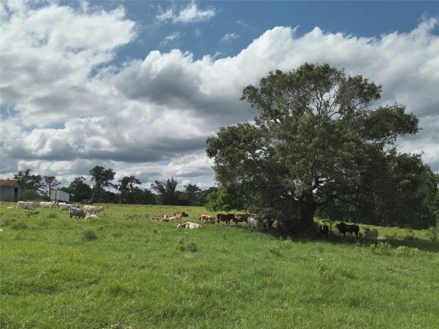 529 An County Road 2304, Tennessee Colony, TX 75861