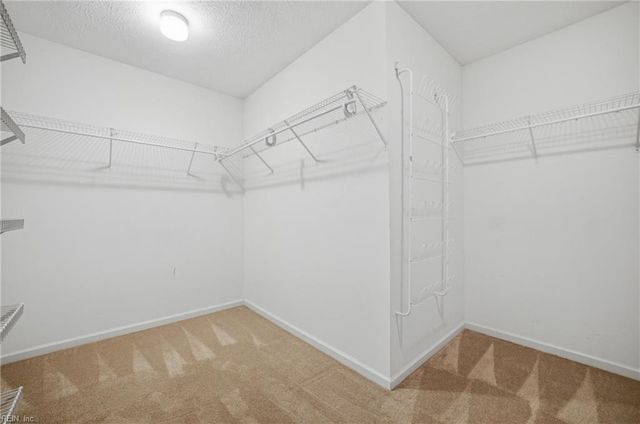 222 Silver Fox TRCE, Yorktown, VA 23693