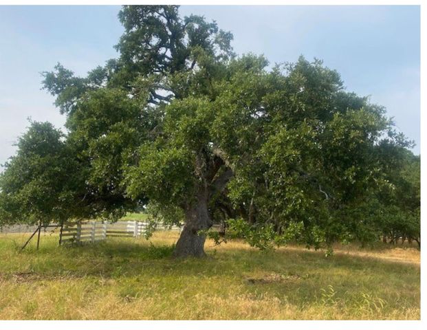 000 County Road 228 RD, Florence, TX 76527