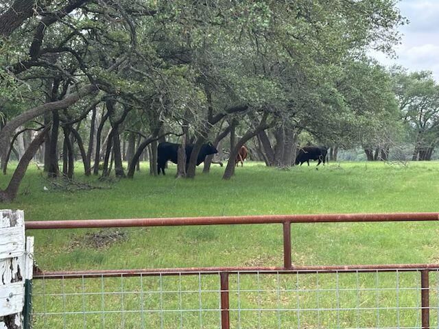 000 County Road 228 RD, Florence, TX 76527