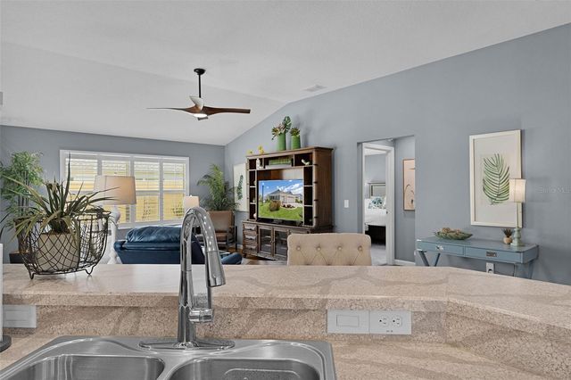 2823 CHRISTOPHER COURT, The Villages, FL 32163