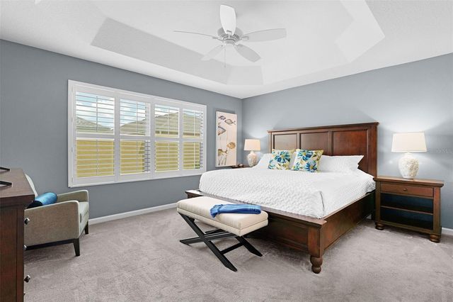 2823 CHRISTOPHER COURT, The Villages, FL 32163