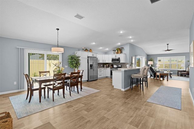 2823 CHRISTOPHER COURT, The Villages, FL 32163