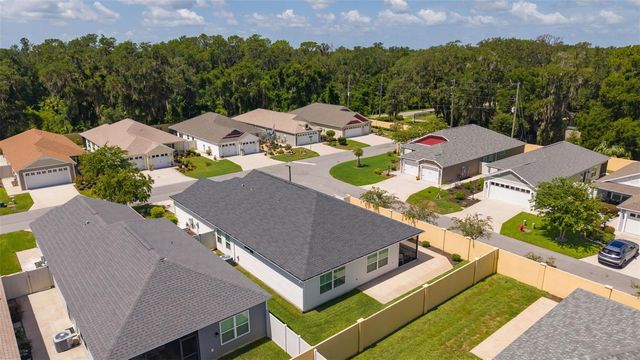 2823 CHRISTOPHER COURT, The Villages, FL 32163