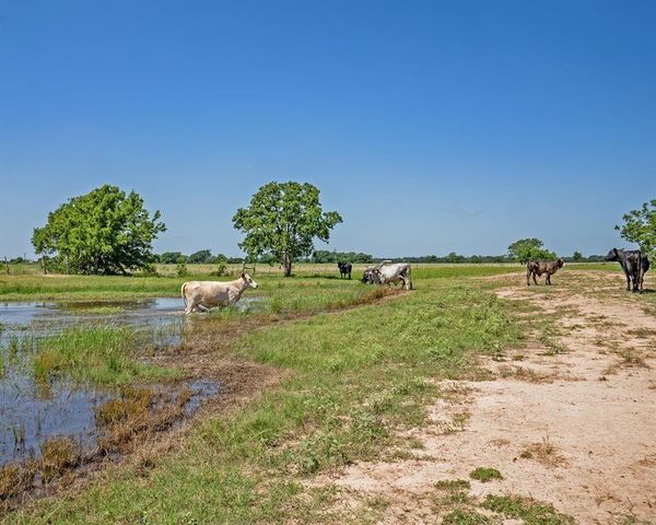 0 County Road 289, East Bernard, TX 77435