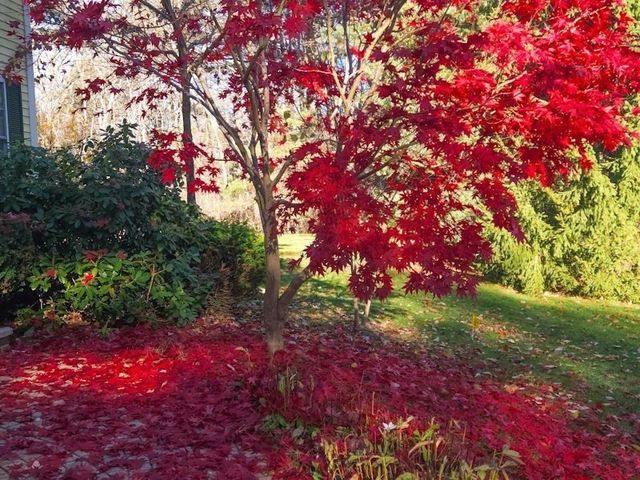 28 Springfield, Littleton, MA 01460