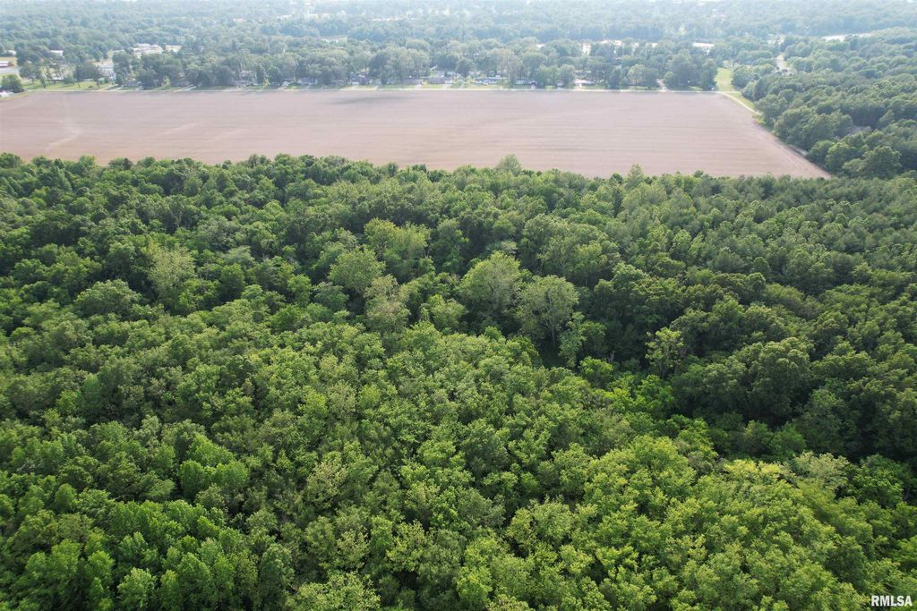 Image 1 of property listing at 0 US Hwy 50, Salem, IL 62881