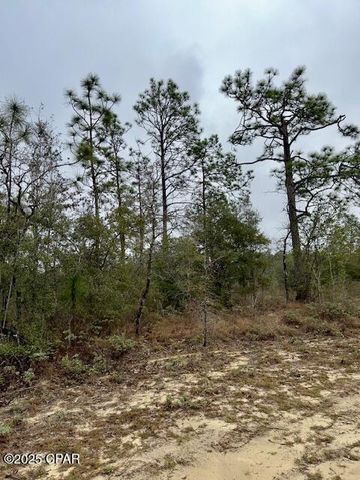 Lot 25 Aldoro Circle, Chipley, FL 32428