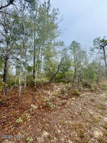Lot 25 Aldoro Circle, Chipley, FL 32428