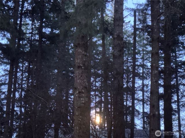 2103 46th Avenue NE, Olympia, WA 98506