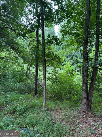 505 Hank Fry Road, Clarkesville, GA 30523