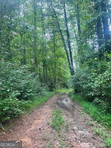 505 Hank Fry Road, Clarkesville, GA 30523