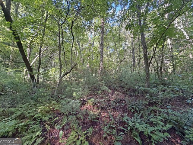 505 Hank Fry Road, Clarkesville, GA 30523