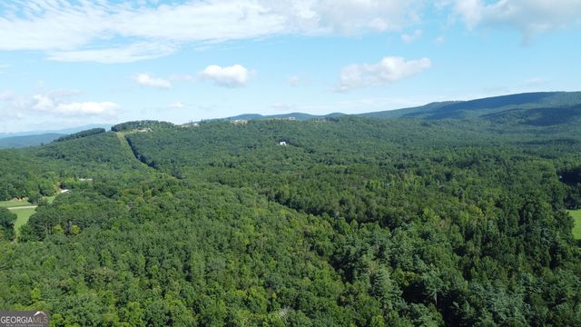 505 Hank Fry Road, Clarkesville, GA 30523