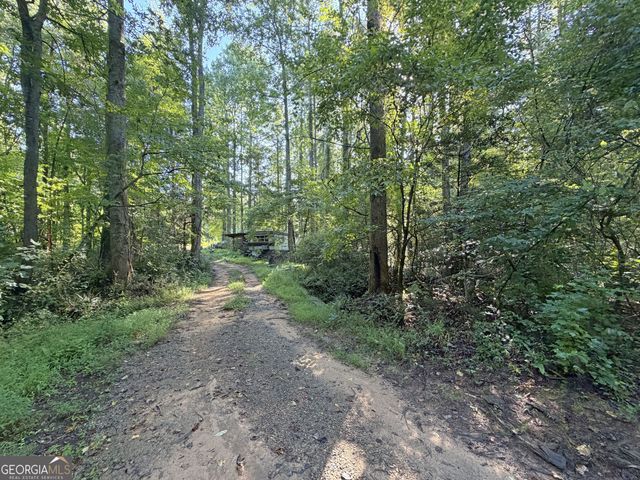 505 Hank Fry Road, Clarkesville, GA 30523