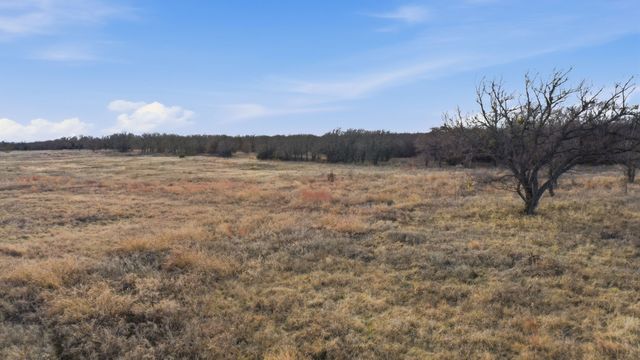 633 N Stallion Meadows Drive, Perrin, TX 76486