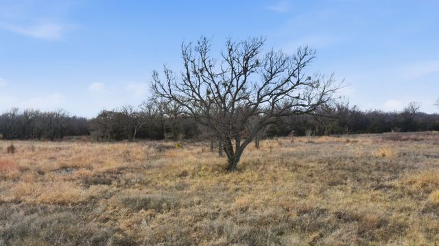 633 N Stallion Meadows Drive, Perrin, TX 76486