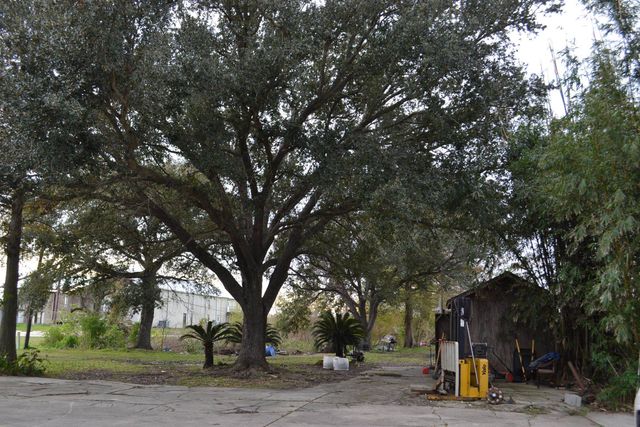 18076 La Hwy 3235, Galliano, LA 70354