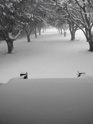 18076 La Hwy 3235, Galliano, LA 70354