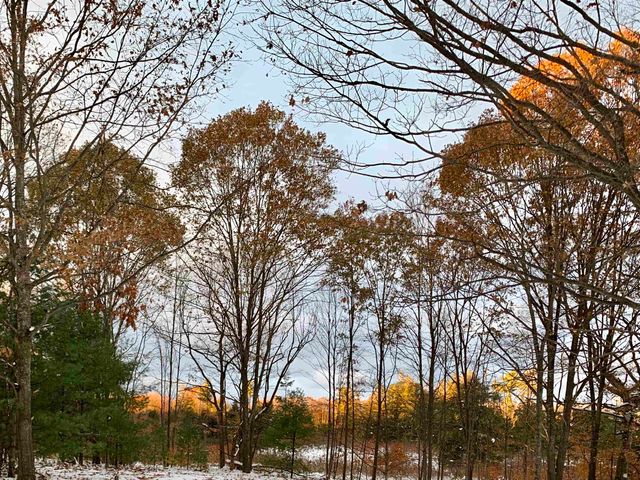 8900 Manhattan North, Long Lake Twp, MI 49684