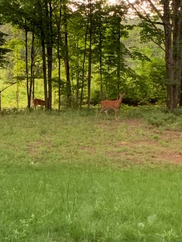 8900 Manhattan North, Long Lake Twp, MI 49684