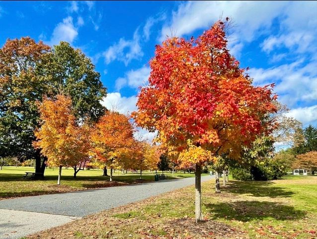 17 Ransom Road, Framingham, MA 01702