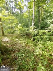 620 Ivy Creek Drive, Nicholson, GA 30565