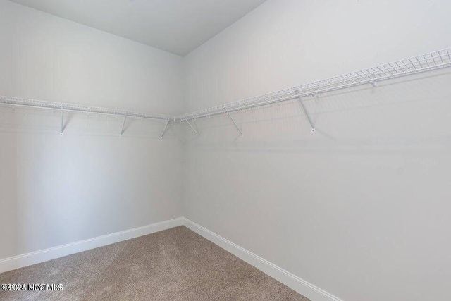 1920 Caracara Drive, New Bern, NC 28560