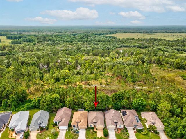 10187 HOLLY BERRY DRIVE, Weeki Wachee, FL 34613