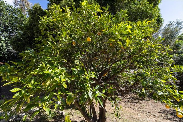 2248 Mil Sorpresas, Fallbrook, CA 92028