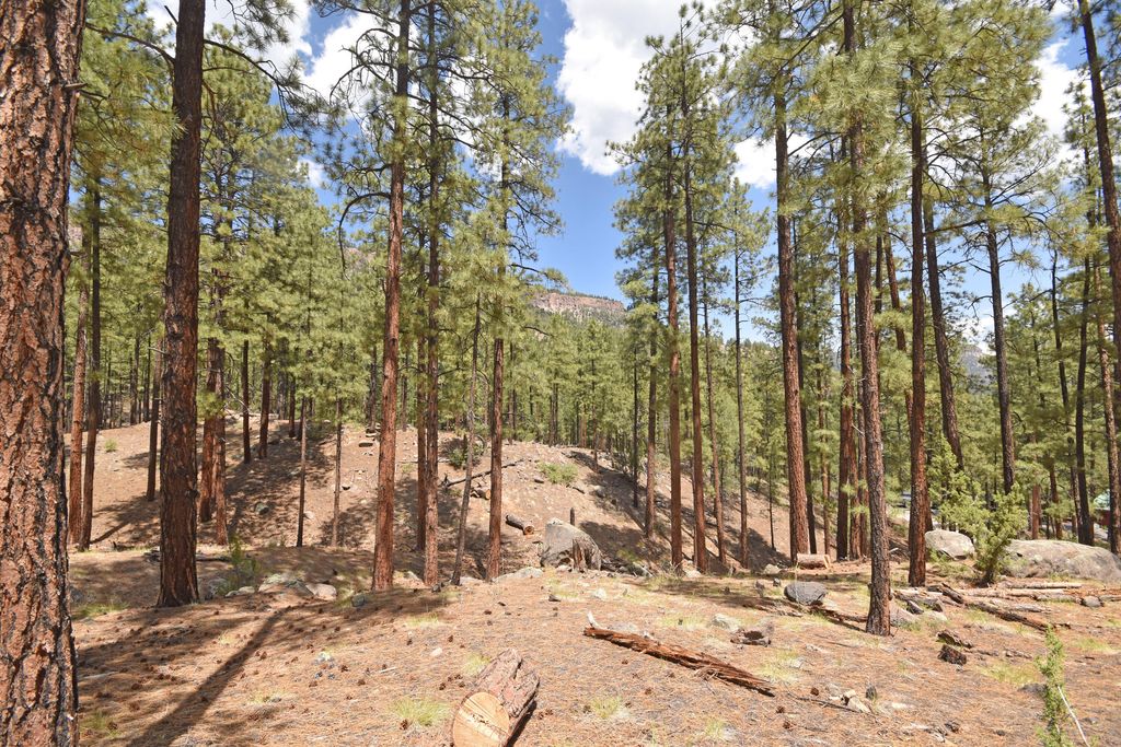 Image 1 of property listing at Lot 6A Cool Pines, Jemez Springs, NM 87025