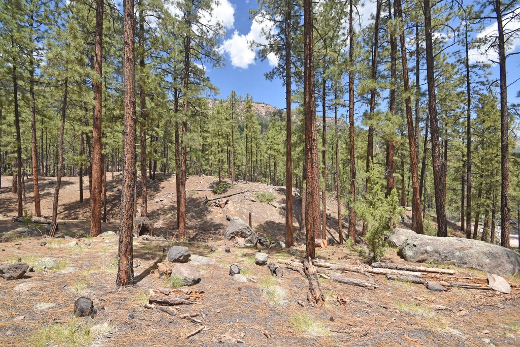 Image 12 of property listing at Lot 6A Cool Pines, Jemez Springs, NM 87025