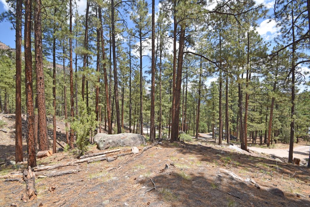 Image 13 of property listing at Lot 6A Cool Pines, Jemez Springs, NM 87025