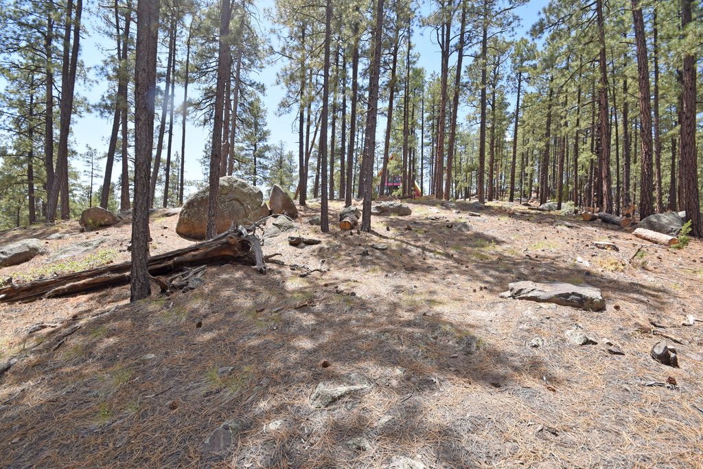 Image 14 of property listing at Lot 6A Cool Pines, Jemez Springs, NM 87025