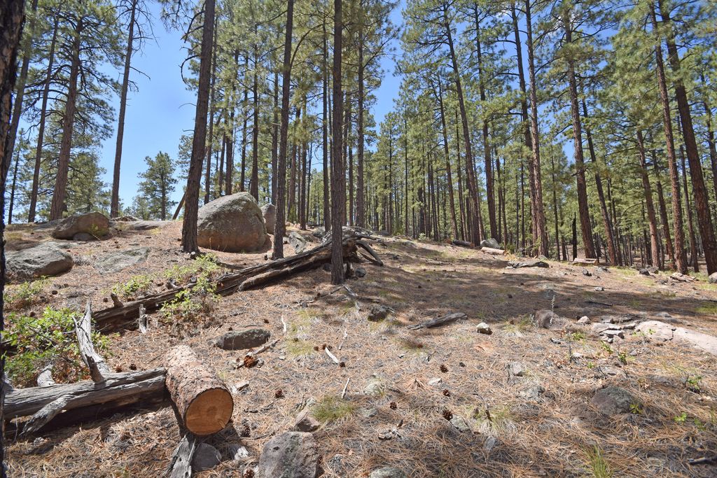 Image 15 of property listing at Lot 6A Cool Pines, Jemez Springs, NM 87025