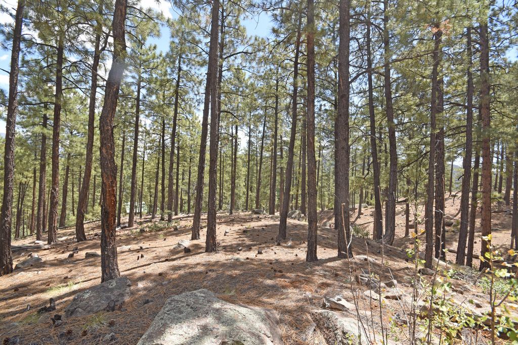 Image 17 of property listing at Lot 6A Cool Pines, Jemez Springs, NM 87025