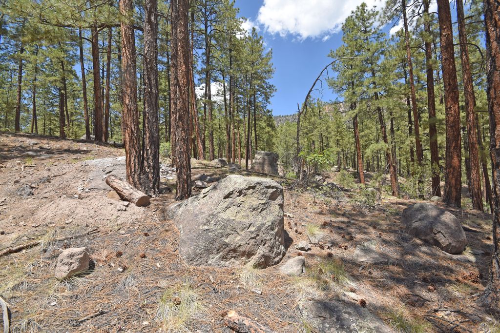 Image 2 of property listing at Lot 6A Cool Pines, Jemez Springs, NM 87025