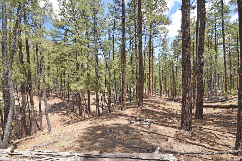 Image 20 of property listing at Lot 6A Cool Pines, Jemez Springs, NM 87025