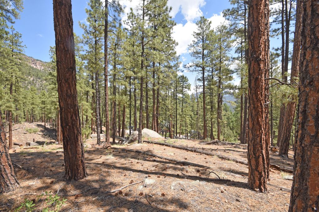Image 21 of property listing at Lot 6A Cool Pines, Jemez Springs, NM 87025