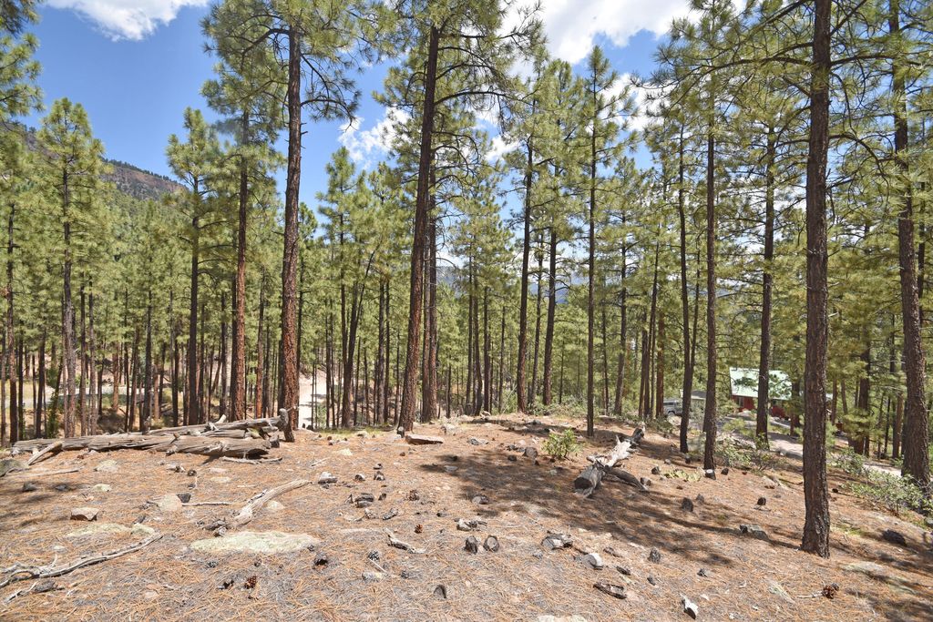 Image 4 of property listing at Lot 6A Cool Pines, Jemez Springs, NM 87025