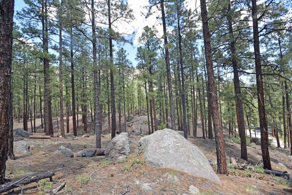 Image 8 of property listing at Lot 6A Cool Pines, Jemez Springs, NM 87025